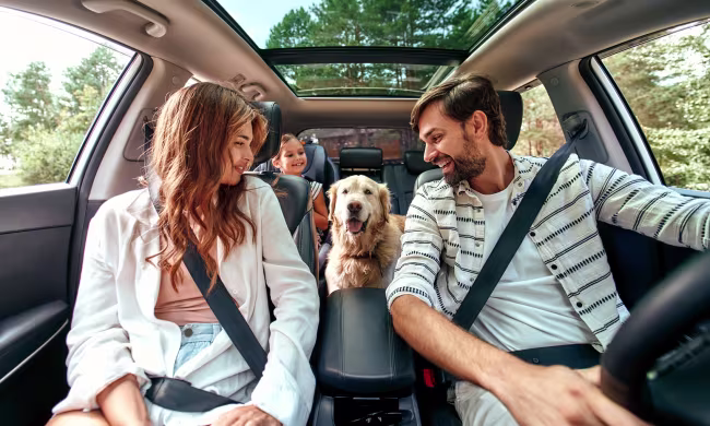 Noleggio auto lungo termine privati